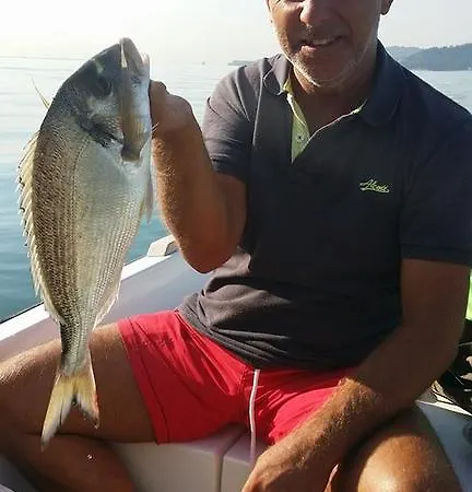Alpitora